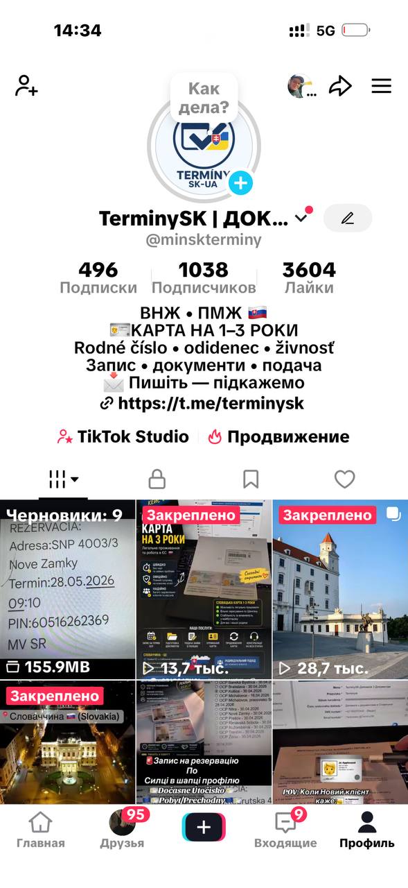 TikTok профіль TerminySK